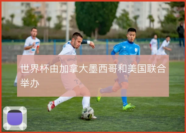 世界杯由加拿大墨西哥和美国联合举办